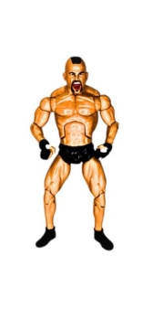 Chuck Liddell ohne Cover